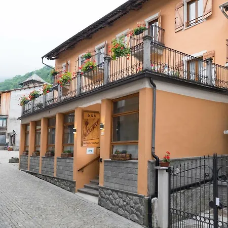 Il Bucaneve 4*